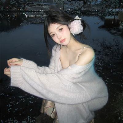 加菲猫和他的朋友们第一季